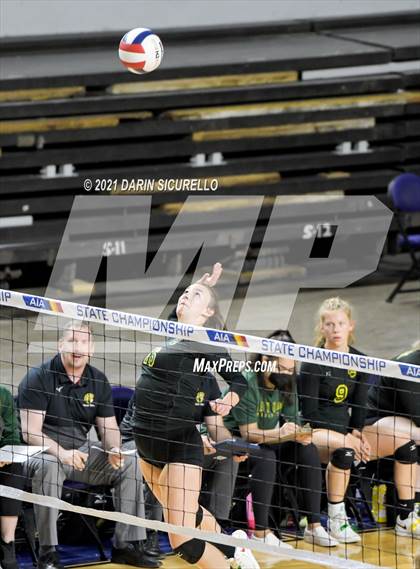 Thumbnail 1 in Canyon del Oro vs Notre Dame Prep (AIA 4A Final) photogallery.