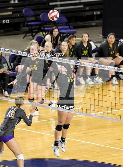 Thumbnail 2 in Canyon del Oro vs Notre Dame Prep (AIA 4A Final) photogallery.