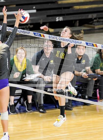 Thumbnail 3 in Canyon del Oro vs Notre Dame Prep (AIA 4A Final) photogallery.