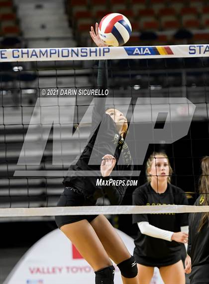 Thumbnail 2 in Canyon del Oro vs Notre Dame Prep (AIA 4A Final) photogallery.