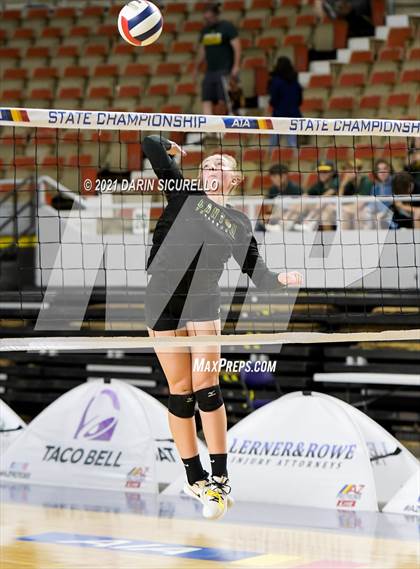Thumbnail 1 in Canyon del Oro vs Notre Dame Prep (AIA 4A Final) photogallery.