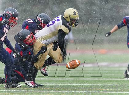 Thumbnail 1 in Selinsgrove vs. University Prep (PIAA Class 3A Playoffs) photogallery.