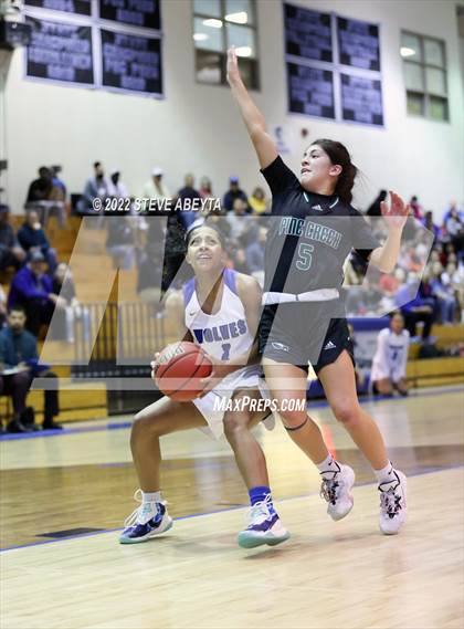 Thumbnail 2 in Pine Creek @ Grandview (CHSAA 5A State - Sweet 16) photogallery.