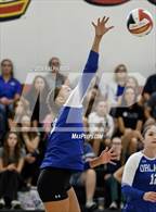 Photo from the gallery "Orland @ Chico"