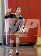 Photo from the gallery "Orland @ Chico"