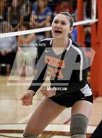 Photo from the gallery "Orland @ Chico"