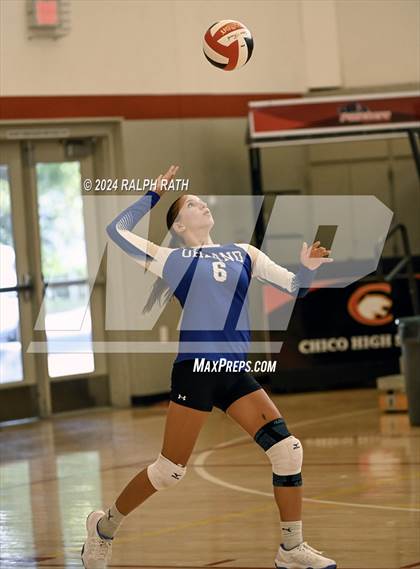 Thumbnail 1 in Orland @ Chico photogallery.