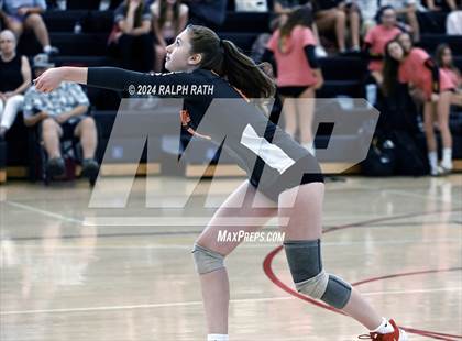 Thumbnail 3 in Orland @ Chico photogallery.