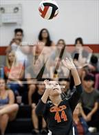Photo from the gallery "Orland @ Chico"