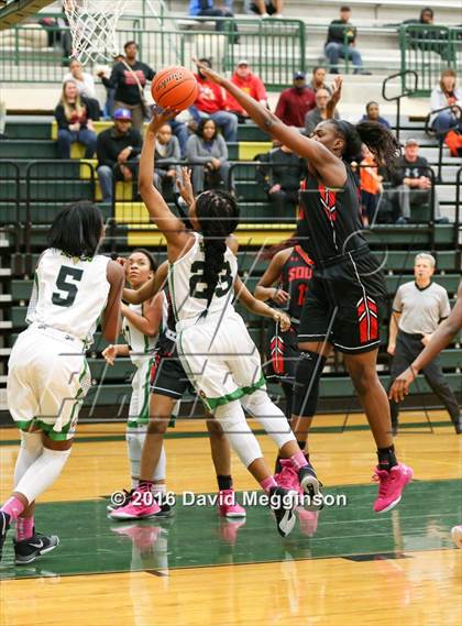Thumbnail 3 in South Grand Prairie @ DeSoto photogallery.