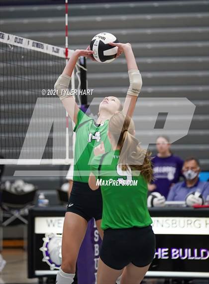 Thumbnail 3 in Yorktown @ Brownsburg (Bulldog Challenge) photogallery.