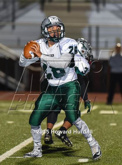 Thumbnail 3 in Aledo vs. Trimble Tech (UIL 5A Bi-District Playoff) photogallery.
