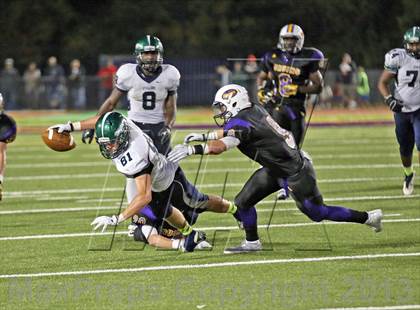 Thumbnail 2 in South County @ Lake Braddock photogallery.
