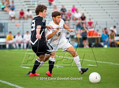 Thumbnail 1 in Croatan @ Havelock photogallery.