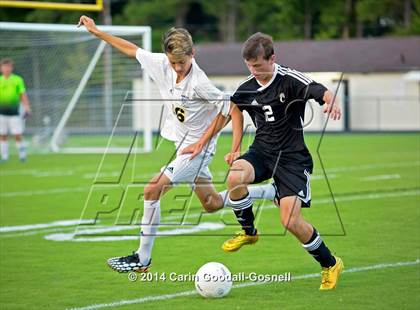 Thumbnail 1 in Croatan @ Havelock photogallery.