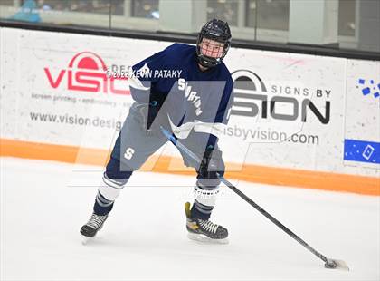 Thumbnail 2 in Shepaug/Litchfield/Nonnewaug/Thomaston @ Newtown/New Fairfield photogallery.