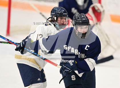 Thumbnail 3 in Shepaug/Litchfield/Nonnewaug/Thomaston @ Newtown/New Fairfield photogallery.