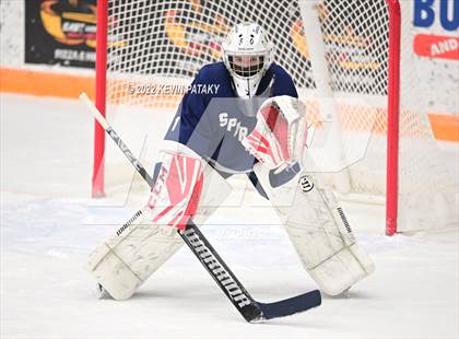 Thumbnail 2 in Shepaug/Litchfield/Nonnewaug/Thomaston @ Newtown/New Fairfield photogallery.