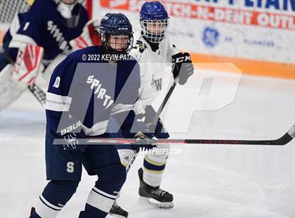 Thumbnail 3 in Shepaug/Litchfield/Nonnewaug/Thomaston @ Newtown/New Fairfield photogallery.