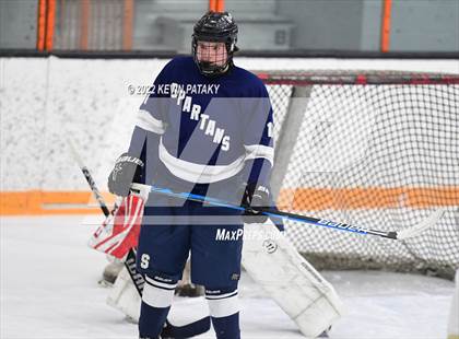 Thumbnail 1 in Shepaug/Litchfield/Nonnewaug/Thomaston @ Newtown/New Fairfield photogallery.