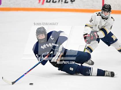 Thumbnail 1 in Shepaug/Litchfield/Nonnewaug/Thomaston @ Newtown/New Fairfield photogallery.