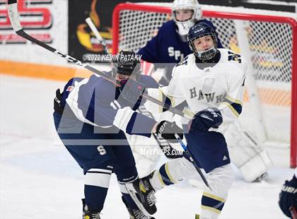 Thumbnail 2 in Shepaug/Litchfield/Nonnewaug/Thomaston @ Newtown/New Fairfield photogallery.