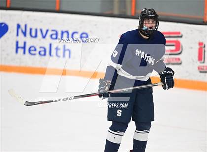 Thumbnail 1 in Shepaug/Litchfield/Nonnewaug/Thomaston @ Newtown/New Fairfield photogallery.