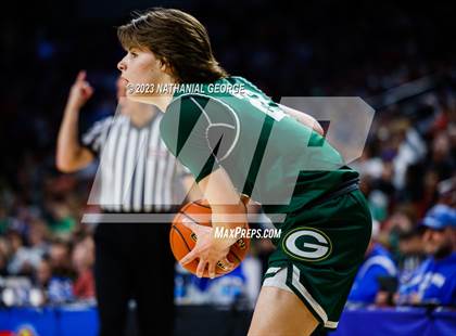 Thumbnail 3 in Millard North vs. Gretna (NSAA Class A Semifinal) photogallery.