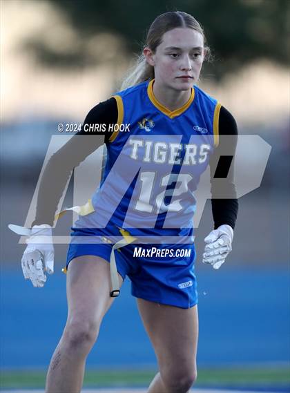 Thumbnail 1 in Red Mountain vs Marana (AIA 6A Semifinal) photogallery.