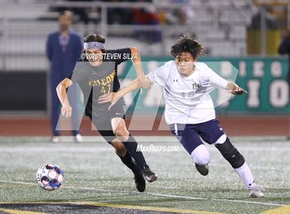 Thumbnail 1 in Torrey Pines Soccer (Extending the Season) photogallery.