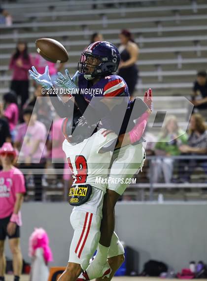 Thumbnail 2 in Langham Creek @ Cypress Springs photogallery.