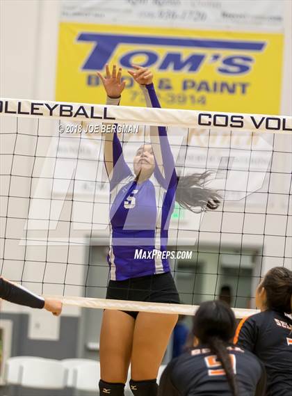 Thumbnail 2 in Selma vs. Washington Union (CIF CS D5 Final) photogallery.