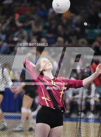 Thumbnail 3 in Holy Family vs. Ponderosa (CHSAA 4A Pool 3) photogallery.