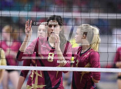 Thumbnail 2 in Holy Family vs. Ponderosa (CHSAA 4A Pool 3) photogallery.