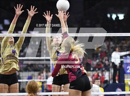 Thumbnail 3 in Holy Family vs. Ponderosa (CHSAA 4A Pool 3) photogallery.