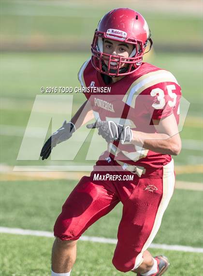 Thumbnail 3 in Legend @ Ponderosa photogallery.