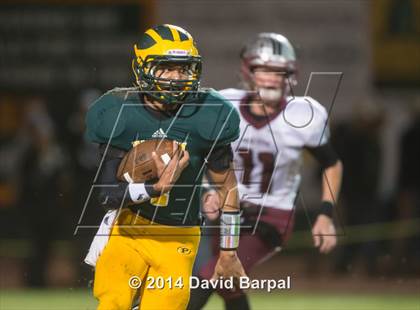 Thumbnail 3 in Bear River @ Placer photogallery.