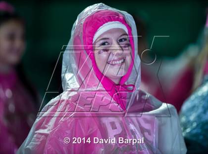 Thumbnail 1 in Bear River @ Placer photogallery.