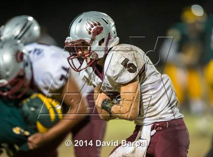 Thumbnail 3 in Bear River @ Placer photogallery.