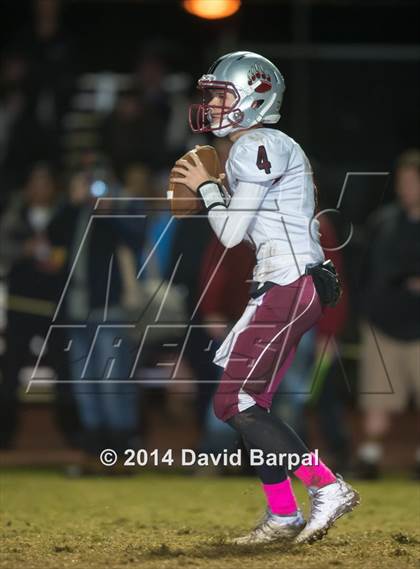 Thumbnail 3 in Bear River @ Placer photogallery.