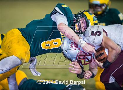 Thumbnail 2 in Bear River @ Placer photogallery.
