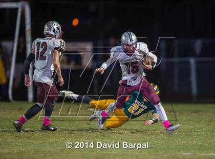 Thumbnail 2 in Bear River @ Placer photogallery.