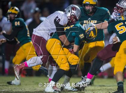 Thumbnail 2 in Bear River @ Placer photogallery.