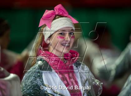 Thumbnail 2 in Bear River @ Placer photogallery.