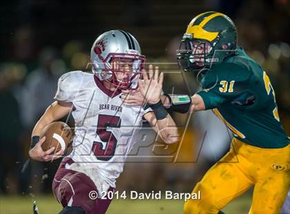 Thumbnail 2 in Bear River @ Placer photogallery.