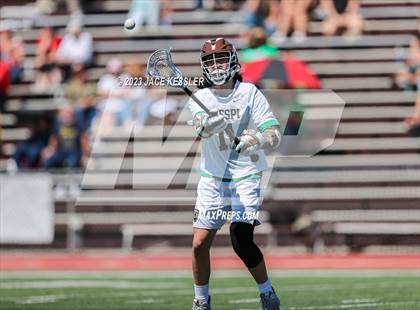 Thumbnail 3 in Palos Verdes @ Crespi photogallery.