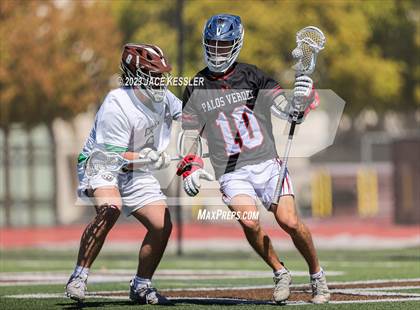Thumbnail 1 in Palos Verdes @ Crespi photogallery.