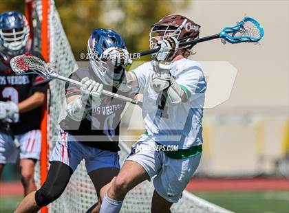 Thumbnail 3 in Palos Verdes @ Crespi photogallery.