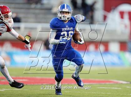 Thumbnail 2 in Bingham vs. American Fork (UHSAA 5A Final)  photogallery.