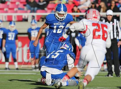 Thumbnail 2 in Bingham vs. American Fork (UHSAA 5A Final)  photogallery.
